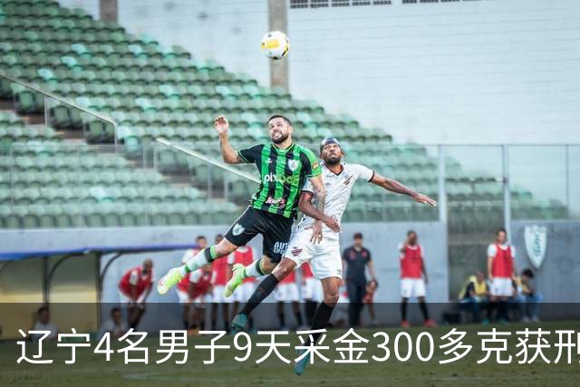 辽宁4名男子9天采金300多克获刑，村里砂土为何能淘金？土法筛金对人体和环境有何危害？